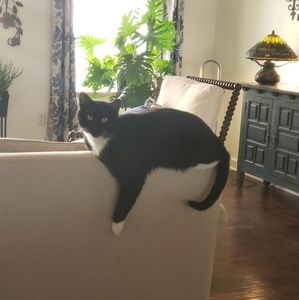 Meet your Posher, Saundra